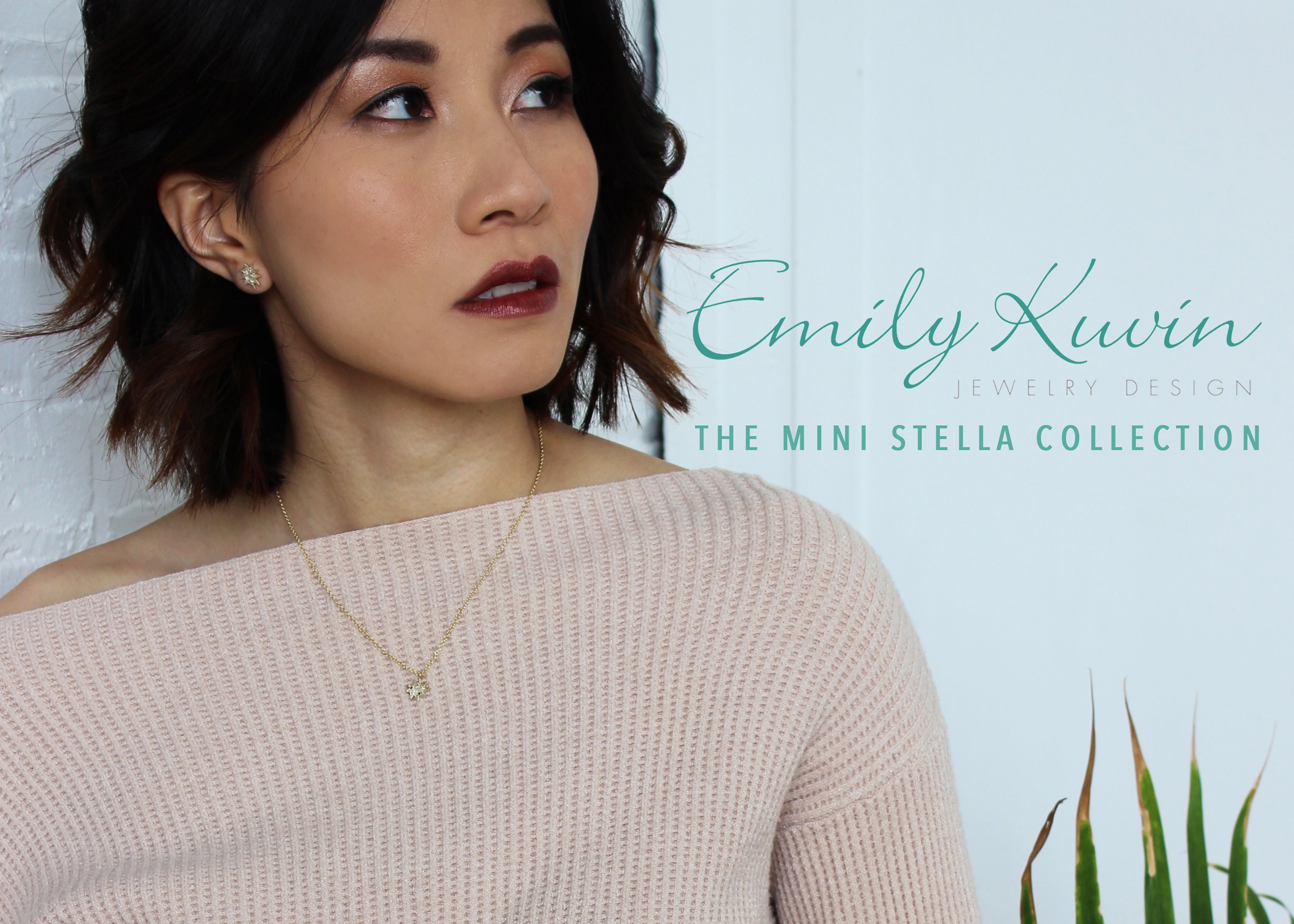 Introducing: Mini Stella