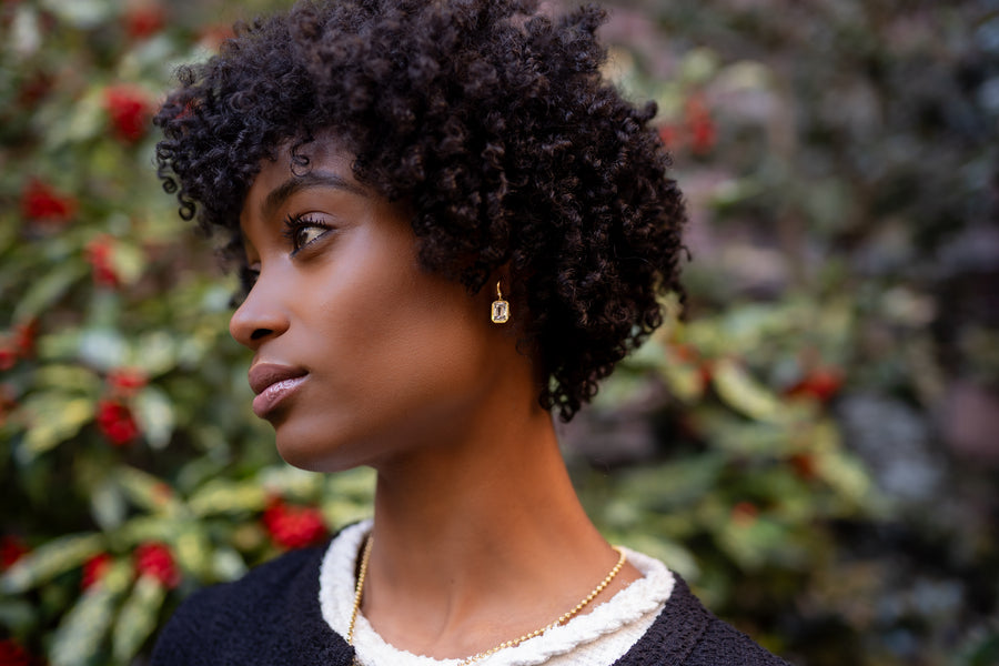 Palazzo 4 Carat Gold Earrings